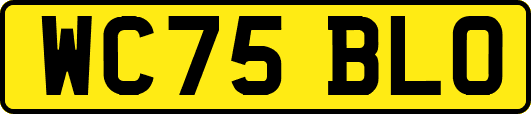 WC75BLO