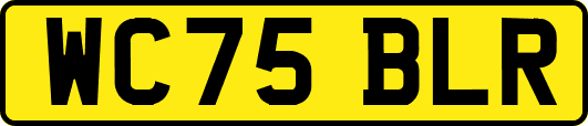WC75BLR