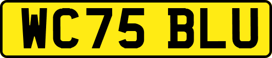 WC75BLU