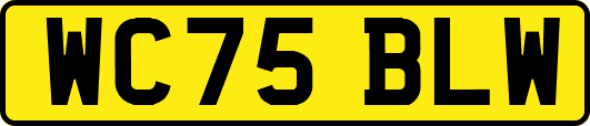 WC75BLW