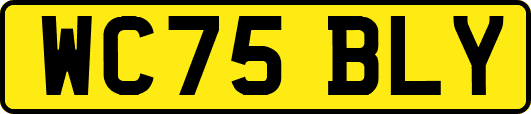 WC75BLY