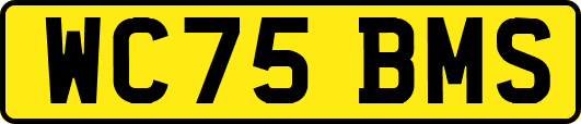 WC75BMS