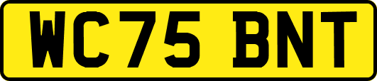 WC75BNT