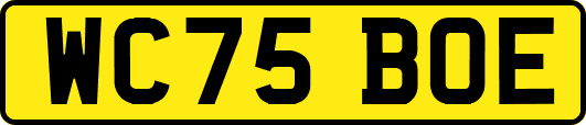 WC75BOE