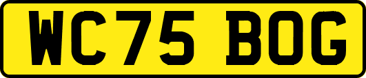 WC75BOG