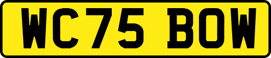 WC75BOW