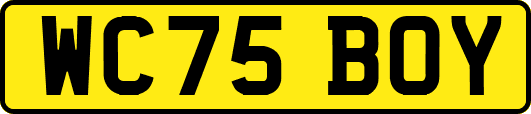 WC75BOY