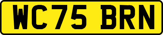 WC75BRN