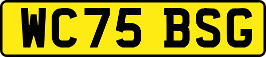 WC75BSG