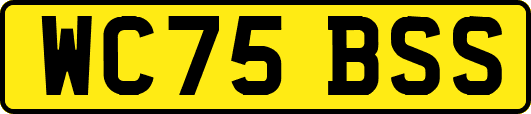 WC75BSS