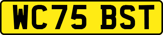 WC75BST
