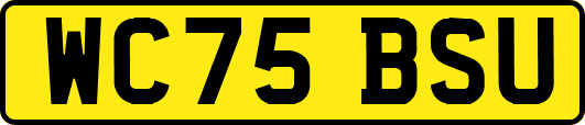 WC75BSU