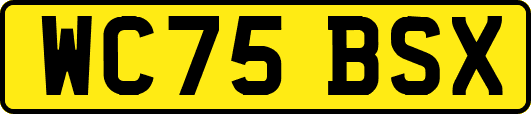 WC75BSX