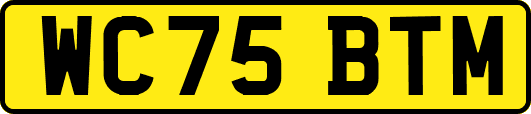 WC75BTM