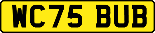 WC75BUB