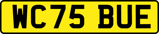 WC75BUE