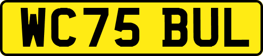 WC75BUL