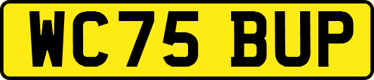 WC75BUP