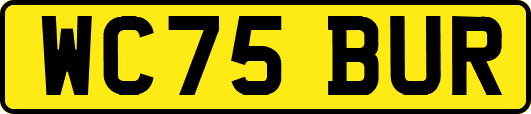 WC75BUR