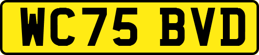 WC75BVD
