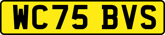 WC75BVS