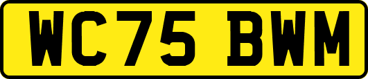 WC75BWM
