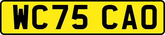 WC75CAO