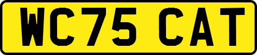 WC75CAT