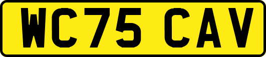 WC75CAV