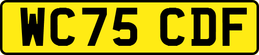 WC75CDF