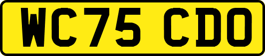 WC75CDO