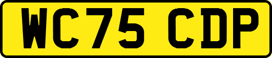 WC75CDP