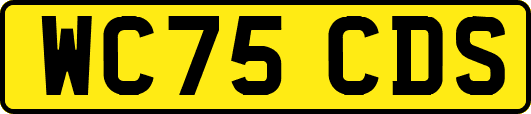 WC75CDS
