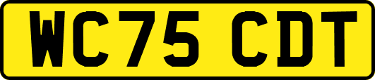 WC75CDT