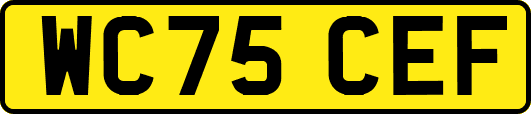 WC75CEF