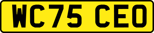 WC75CEO