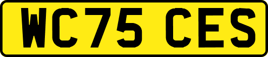 WC75CES
