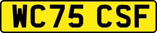 WC75CSF