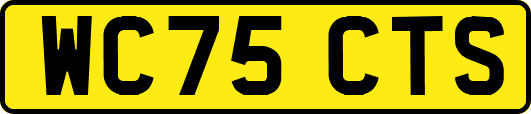 WC75CTS