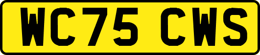 WC75CWS