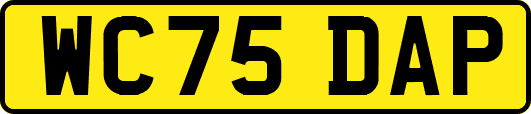 WC75DAP