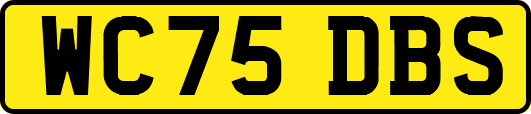 WC75DBS
