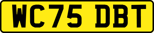 WC75DBT
