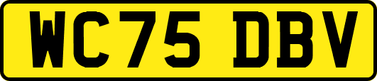 WC75DBV