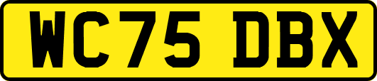 WC75DBX