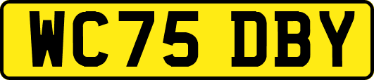 WC75DBY