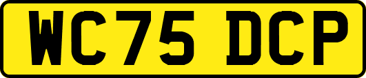 WC75DCP