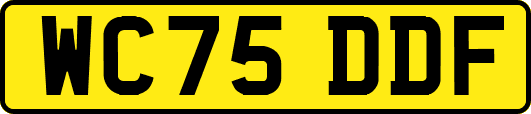 WC75DDF