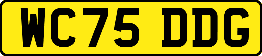WC75DDG