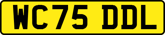 WC75DDL
